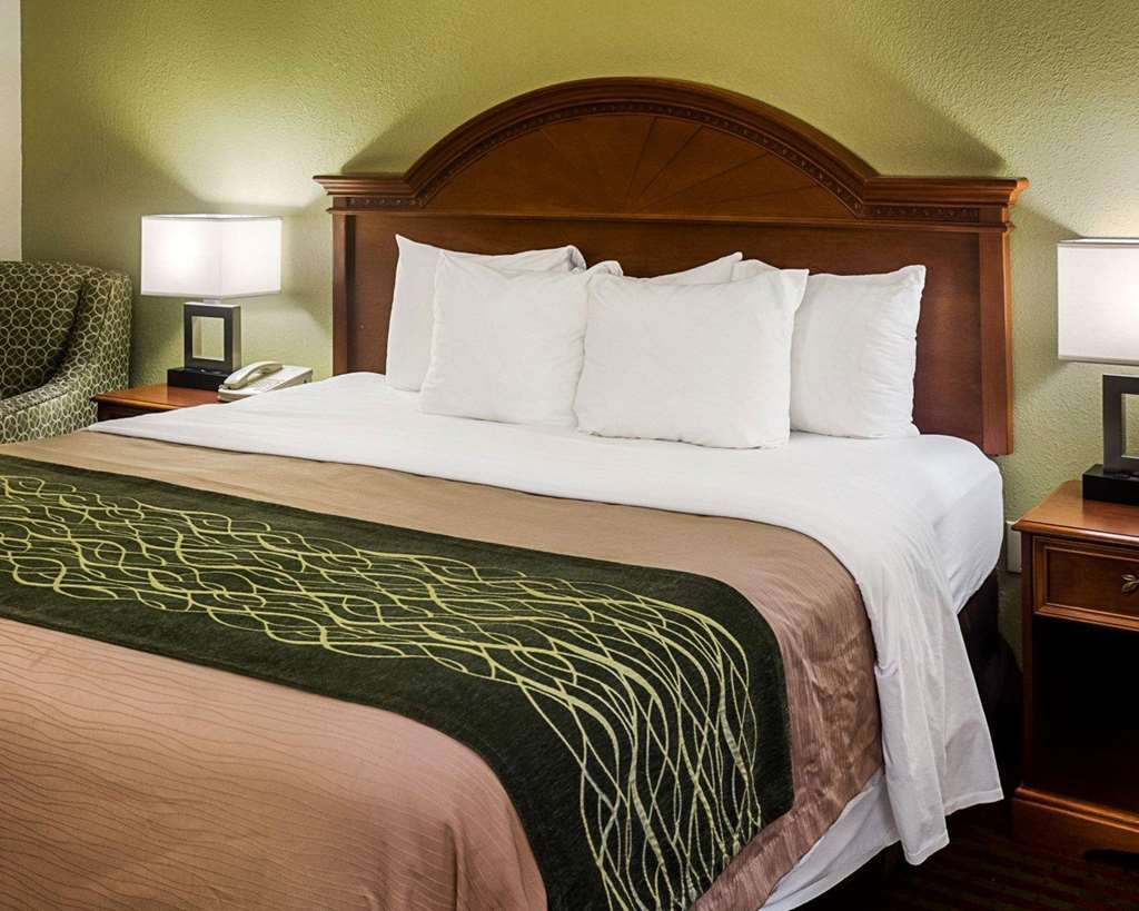 Comfort Inn Newport News - Hampton I-64 Rum bild